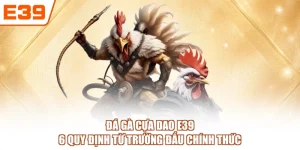 Đá Gà Cựa Dao E39 - 6 Quy Định Từ Trường Đấu Chính Thức