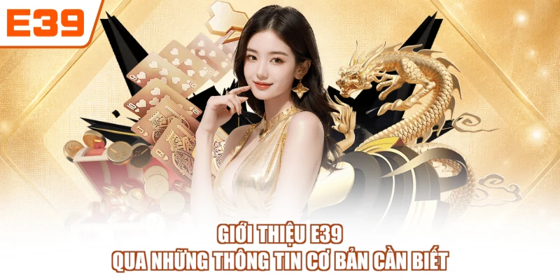 Giới thiệu E39 qua những thông tin cơ bản cần biết