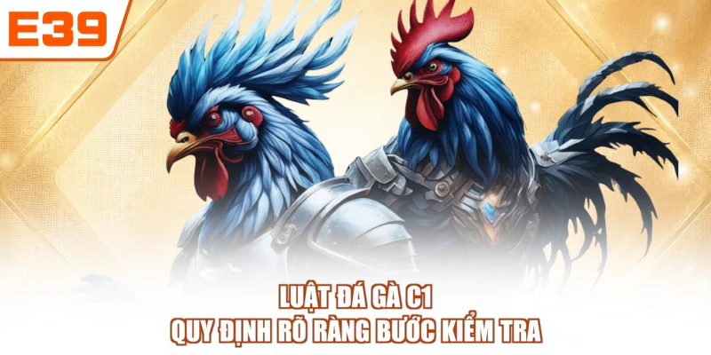 Luật đá gà C1 quy định rõ ràng bước kiểm tra